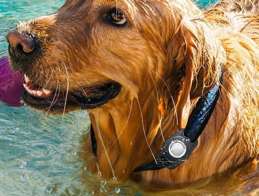 Airtag IP7-Rated Waterproof Locator Key Ring and Case, With Protective Sleeve