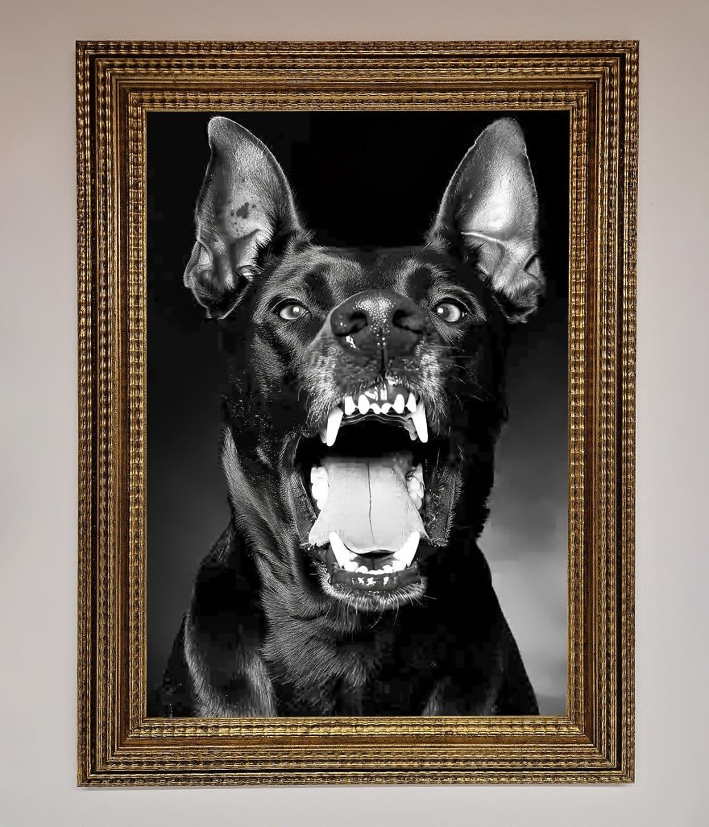 Angry Doberman Dog Framed Wall Art