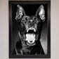 Angry Doberman Dog Framed Wall Art