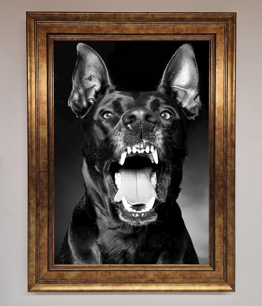 Angry Doberman Dog Framed Wall Art