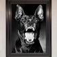 Angry Doberman Dog Framed Wall Art