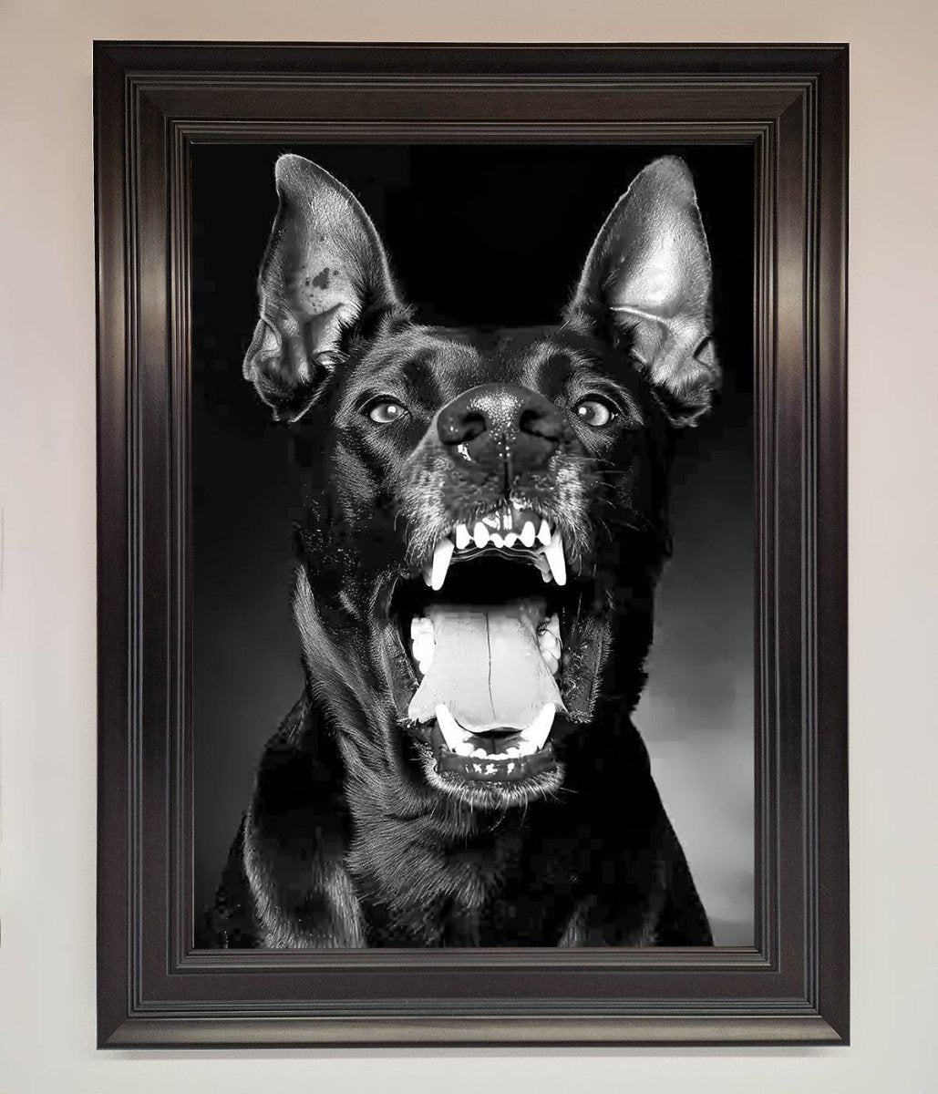 Angry Doberman Dog Framed Wall Art