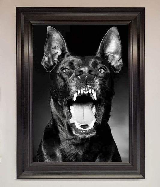 Angry Doberman Dog Framed Wall Art