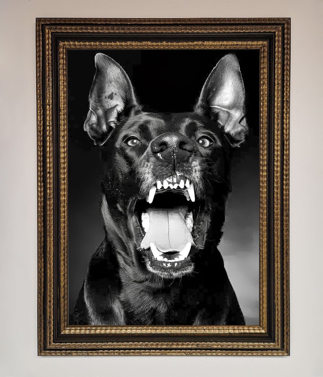 Angry Doberman Dog Framed Wall Art