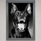 Angry Doberman Dog Framed Wall Art