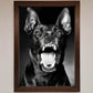 Angry Doberman Dog Framed Wall Art