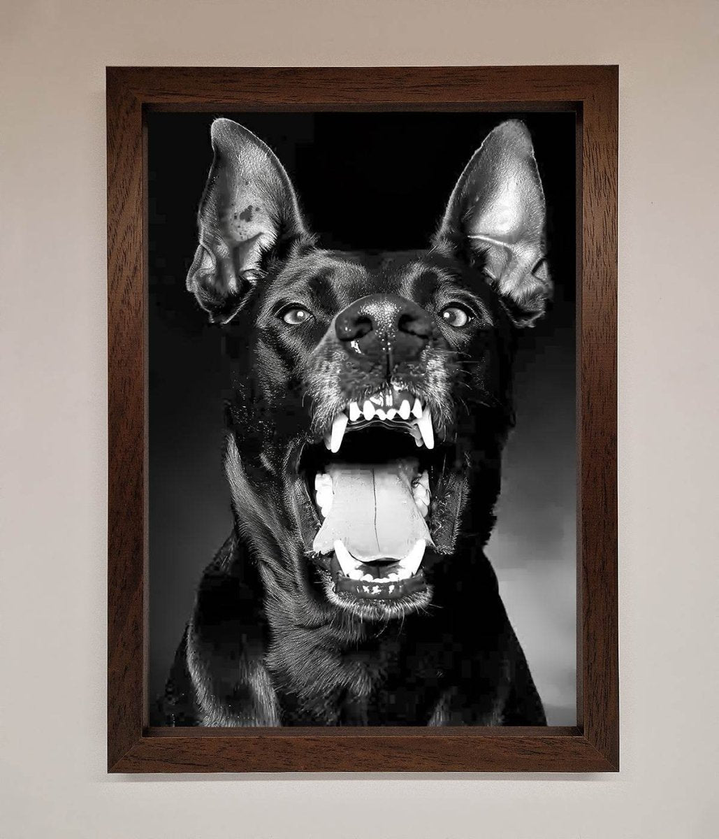 Angry Doberman Dog Framed Wall Art
