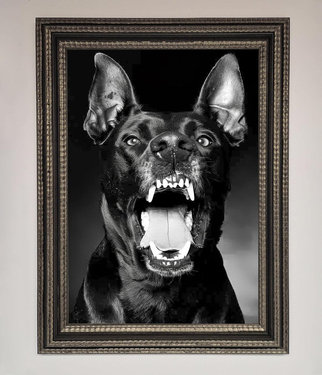 Angry Doberman Dog Framed Wall Art