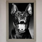 Angry Doberman Dog Framed Wall Art
