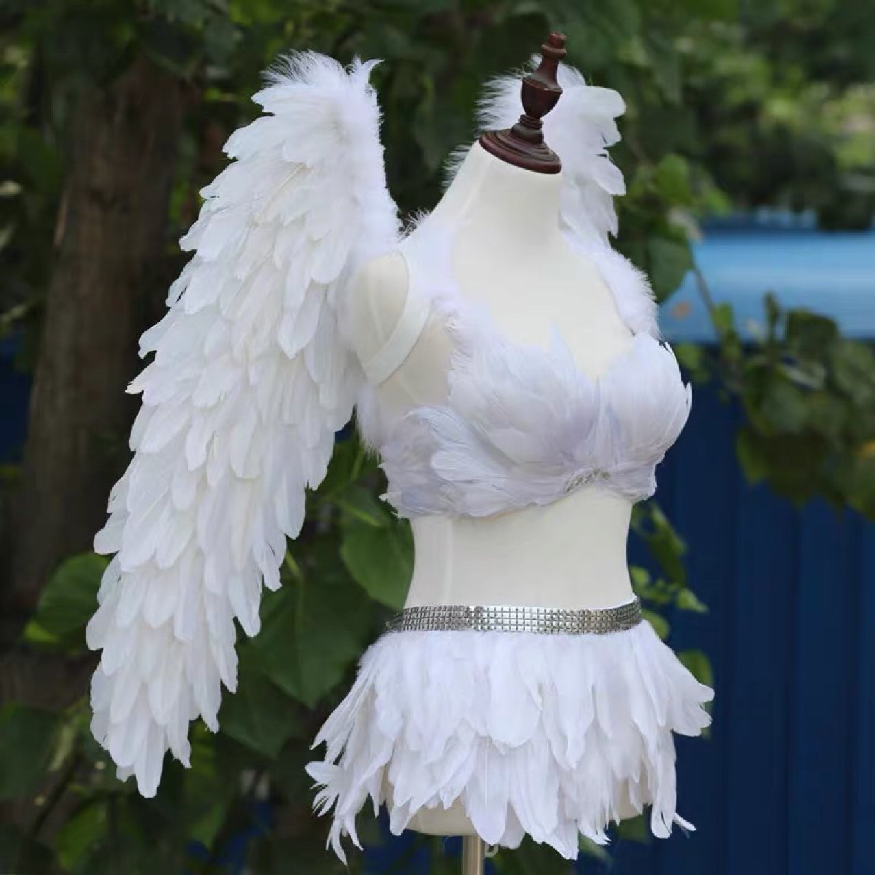 Performance and Show Feather Wings, Bra and Skirt Set