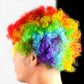 Clown Wig, Stage Play, Party Performance Wear