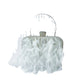 Rhinestone Tassel Feather-Trimmed Clutch Bag