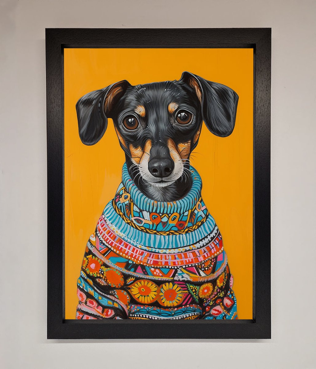 Sausage Dog in a Sweater Framed Print