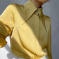Vireous Elegant Exaggerated Sharp-Collar Avant Garde Blouse, Businesswear