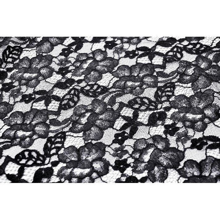 Dark in Love Onyx Romantic Gothic Velvet Lace Princess Gown