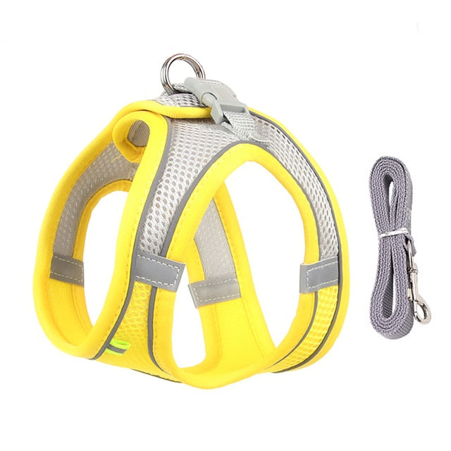 Dog Body Harness and Lead Set for Small Dogs