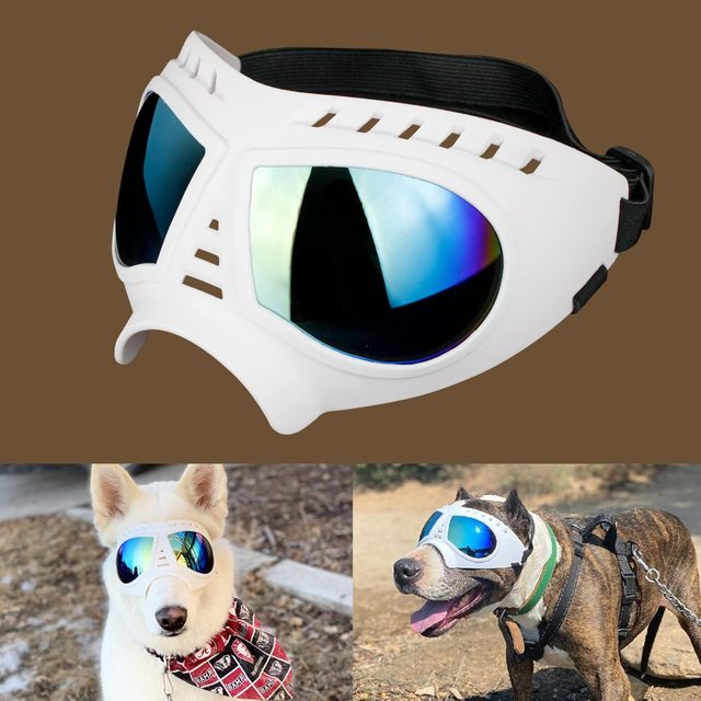 Lunettes de protection pour chiots et chiens à monture souple