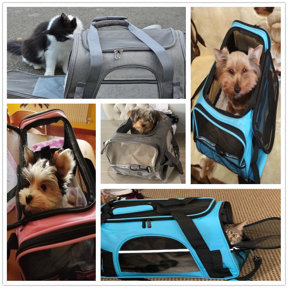 Pet Carrier Travel Bag Backpack Design