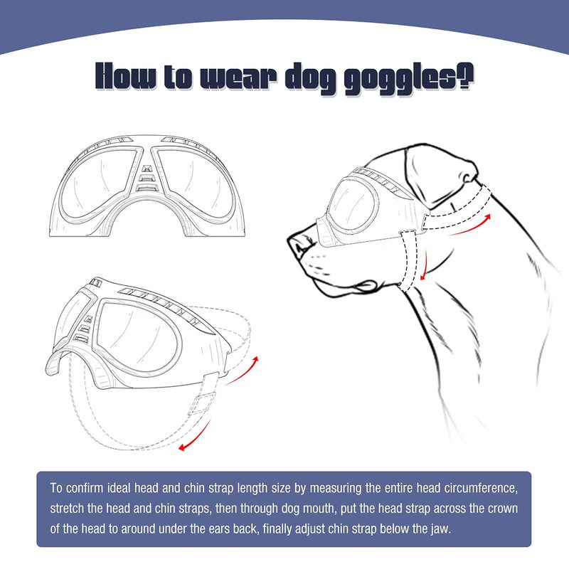 Lunettes de protection pour chiots et chiens à monture souple