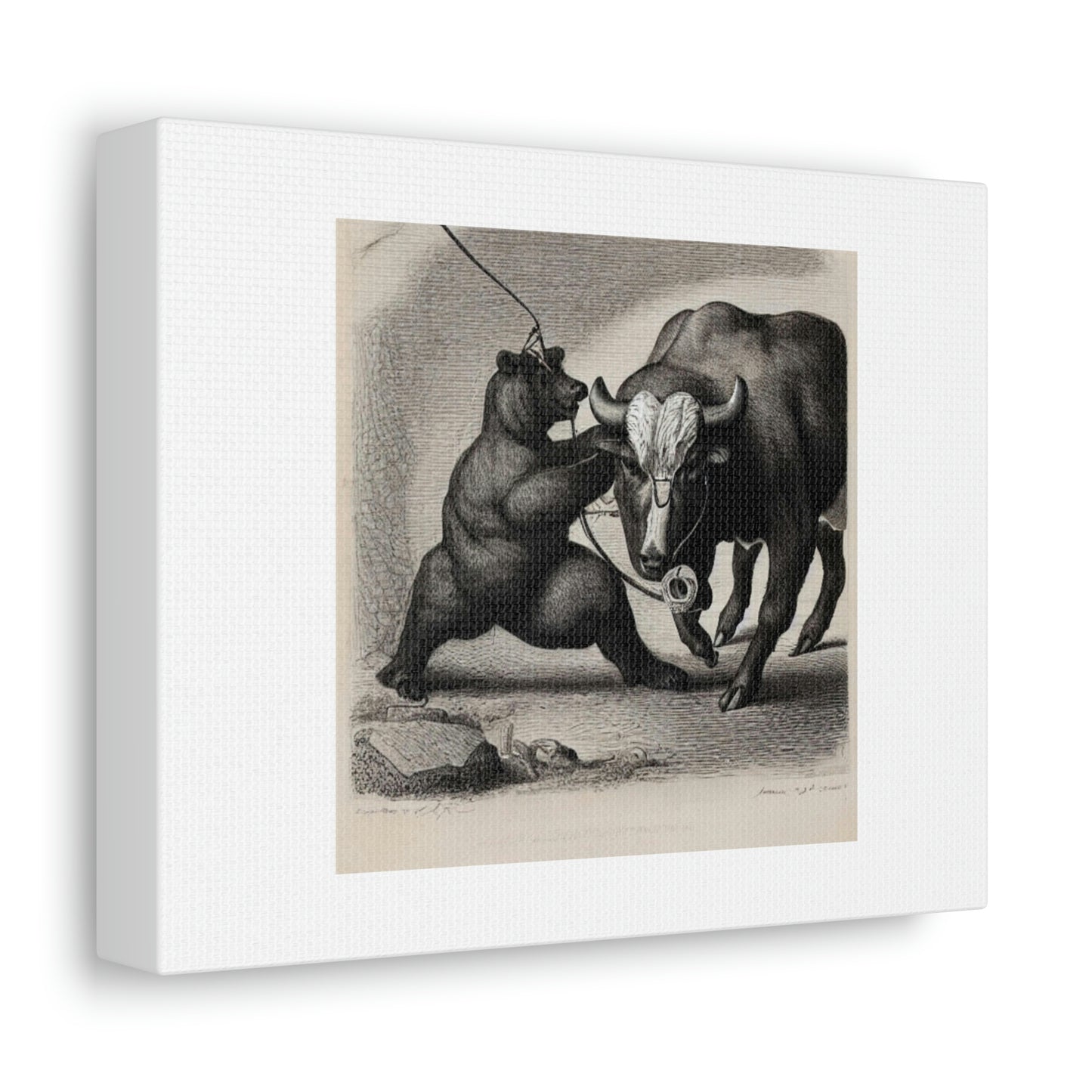 Bear Pulling A Bull By Its Nose Digital Art 'Designed by AI' Stretched Canvas