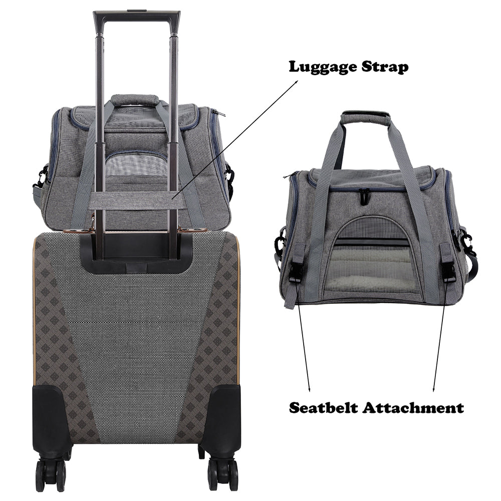 Pet Carrier Travel Bag Backpack Design