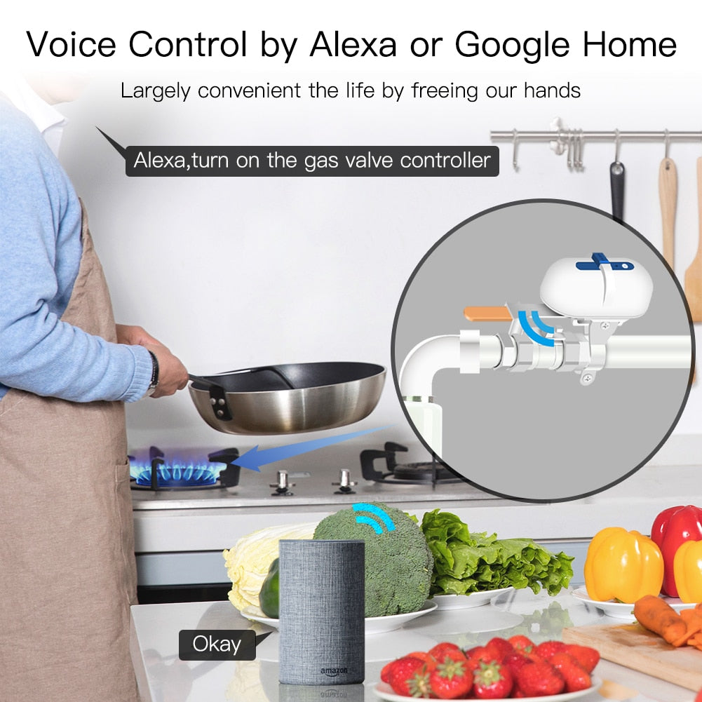 Moes Tuya Smart Wi-Fi ZigBee Escape Of Water Detector Contrôleur de vanne d'arrêt automatique Smart Life App Télécommande avec Alexa Google Home