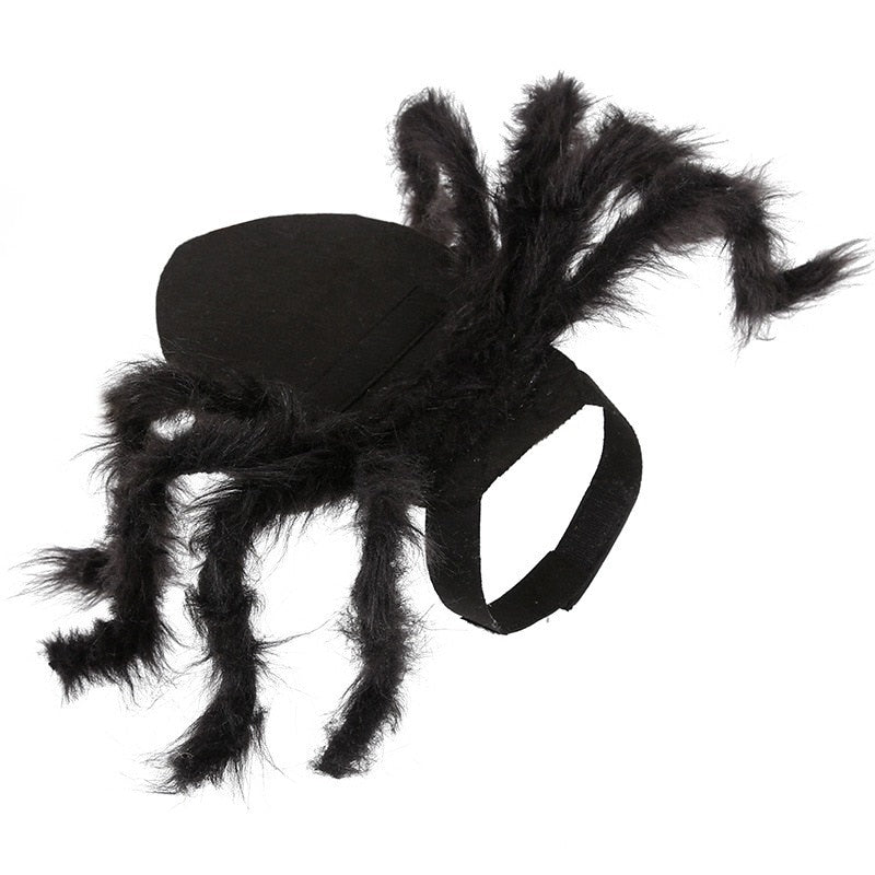 Costume d'araignée pour animaux de compagnie Halloween et jeux de fête