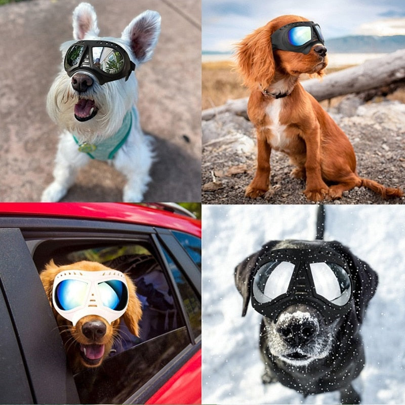 Lunettes de protection pour chiots et chiens à monture souple