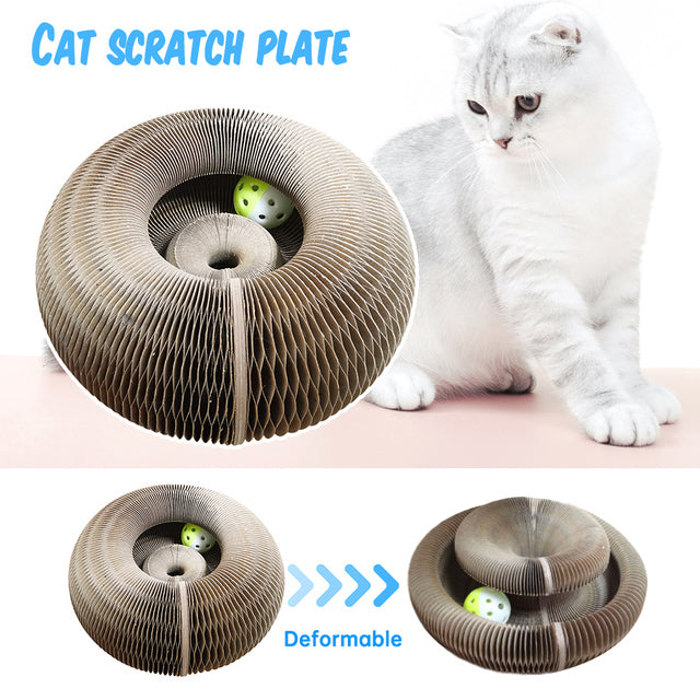 Jouet griffoir pour chat FunnyScratcher™