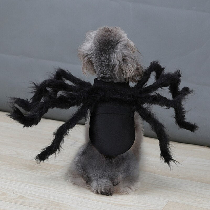 Costume d'araignée pour animaux de compagnie Halloween et jeux de fête