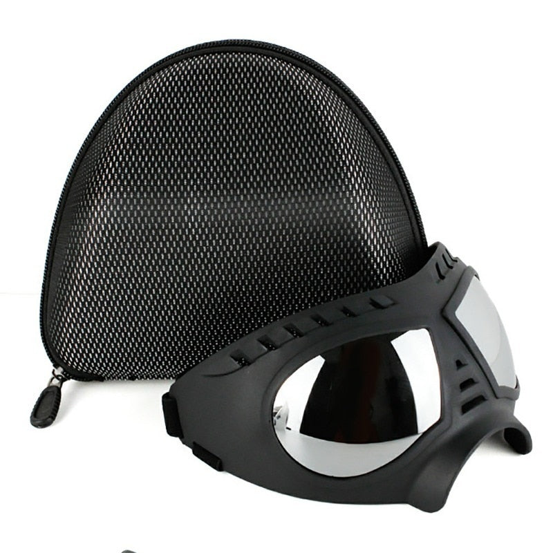 Lunettes de protection pour chiots et chiens à monture souple