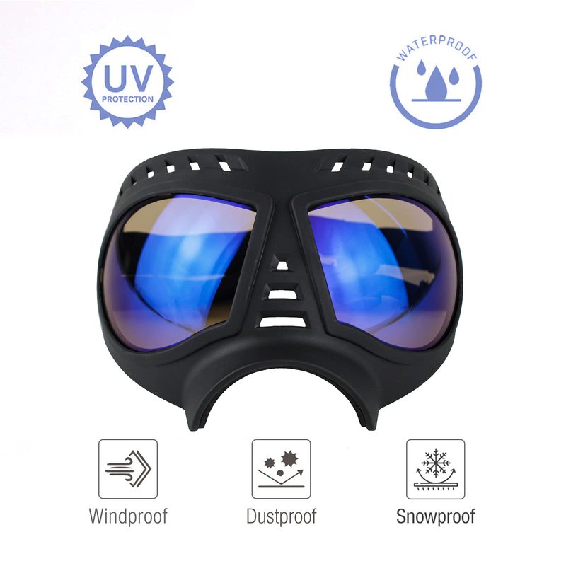 Lunettes de protection pour chiots et chiens à monture souple