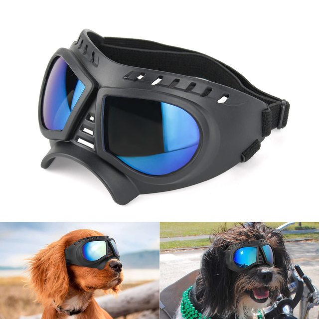 Lunettes de protection pour chiots et chiens à monture souple