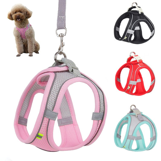 Dog Body Harness and Lead Set for Small Dogs