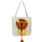 Pet Cat or Dog Carrier Soft Breathable Bag Lion Design