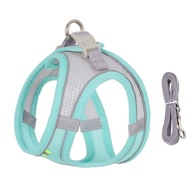 Dog Body Harness and Lead Set for Small Dogs