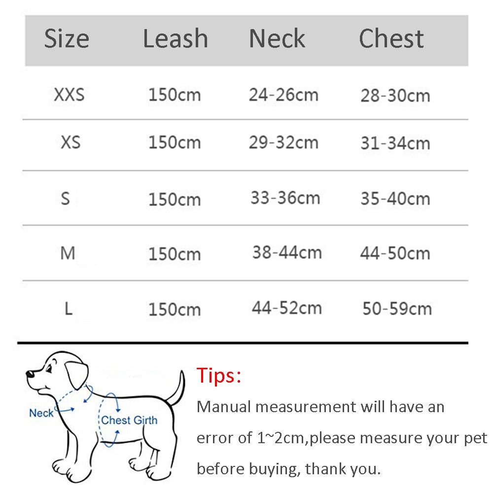 Dog Body Harness and Lead Set for Small Dogs